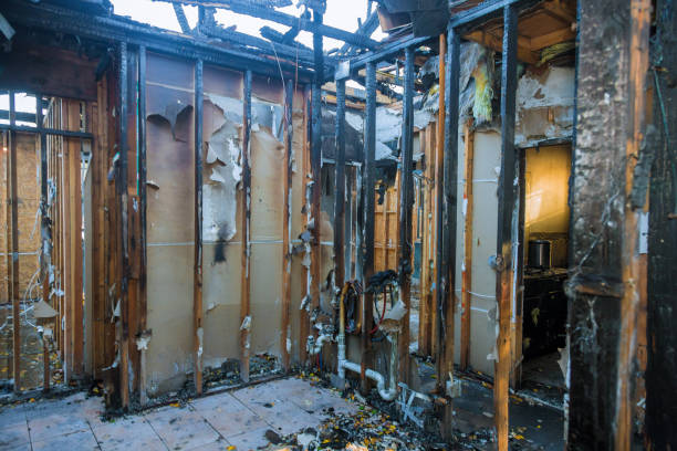 Professional Fire Damage Removal technician working in Hays, NC